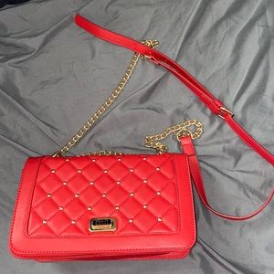 Badgley Mischka Crossbody Purse